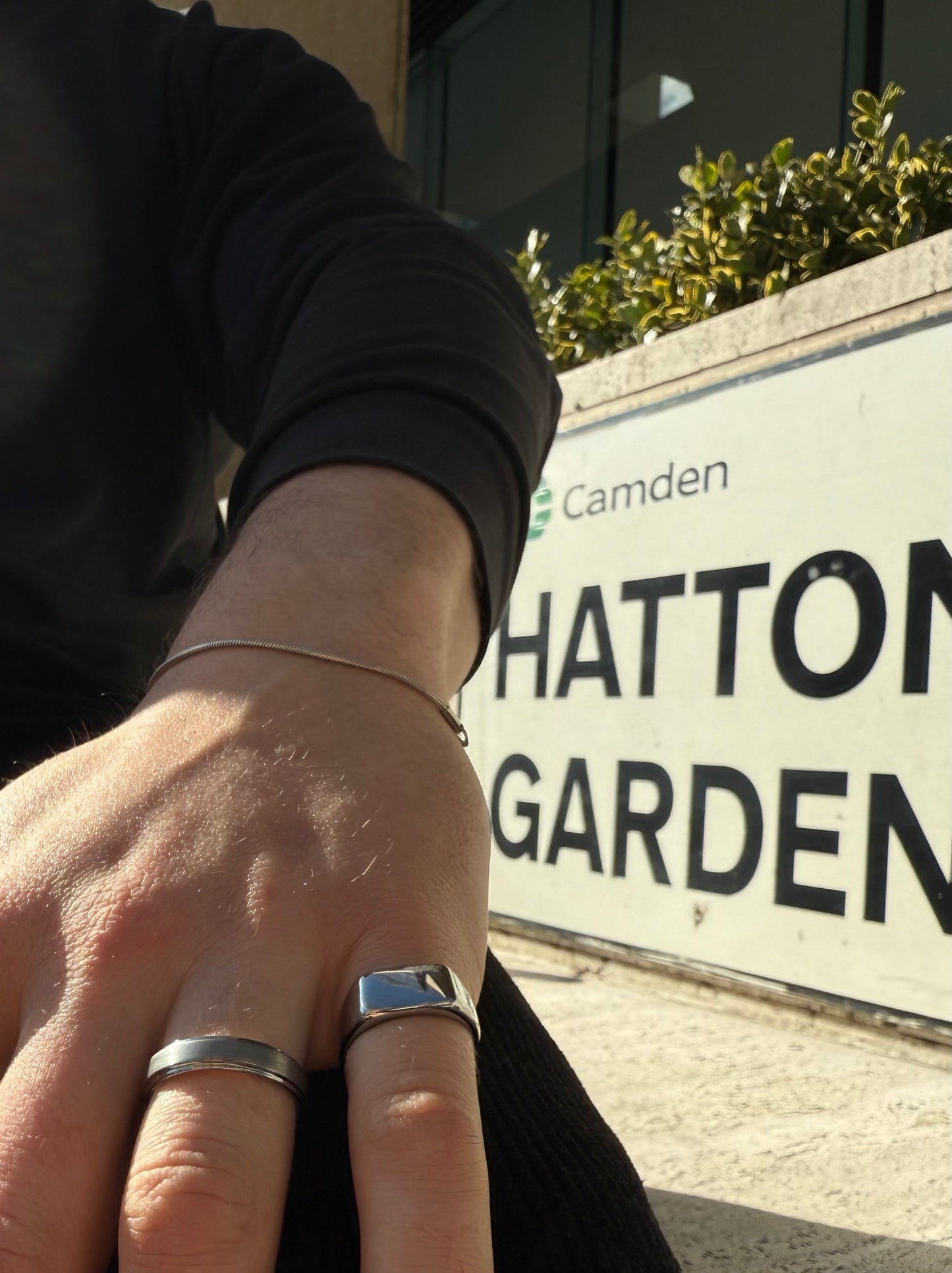 Bold Signet (Silver)