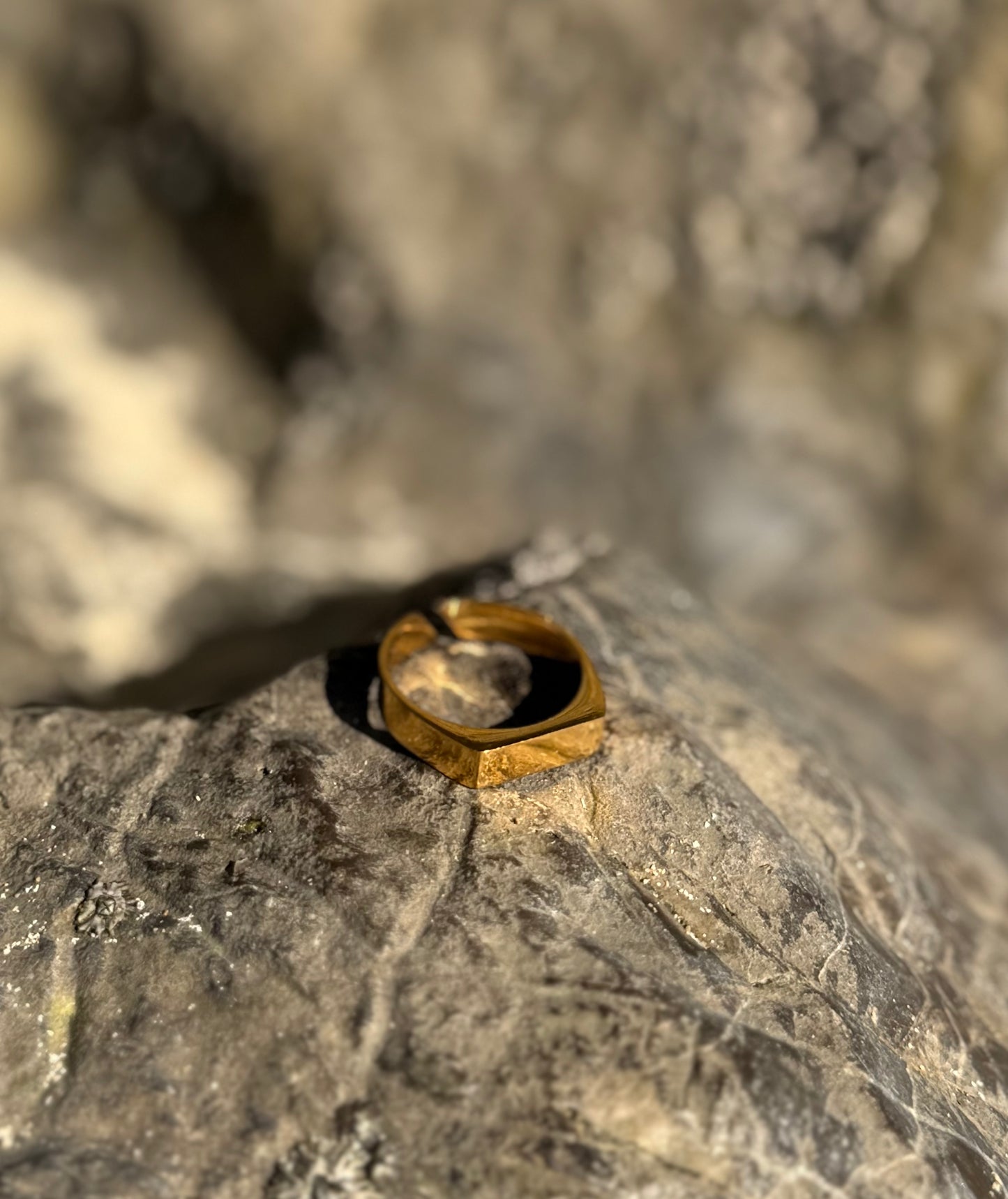 Defined Signet (Gold) 5mm