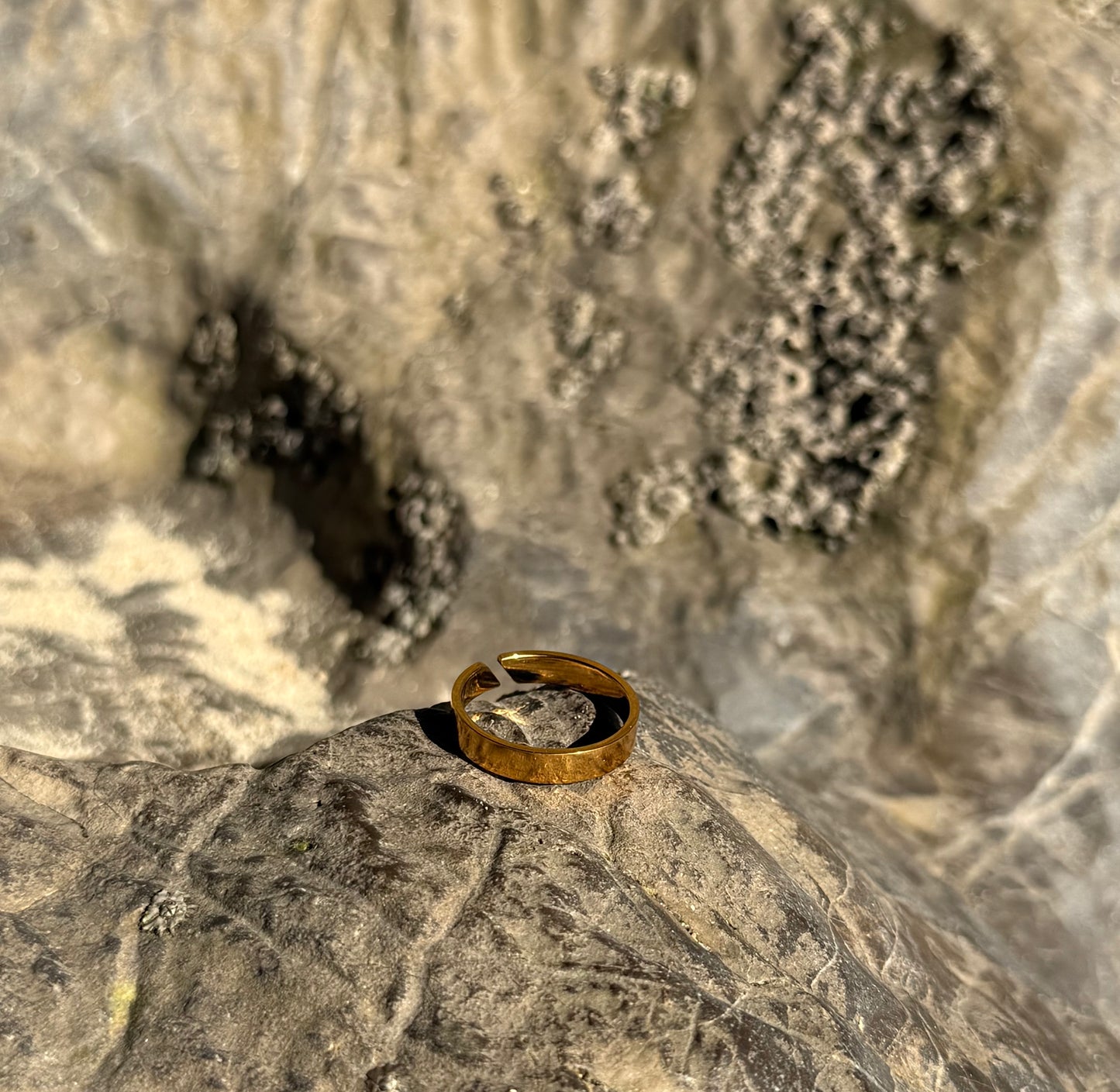 Flat Band (Gold) 5mm