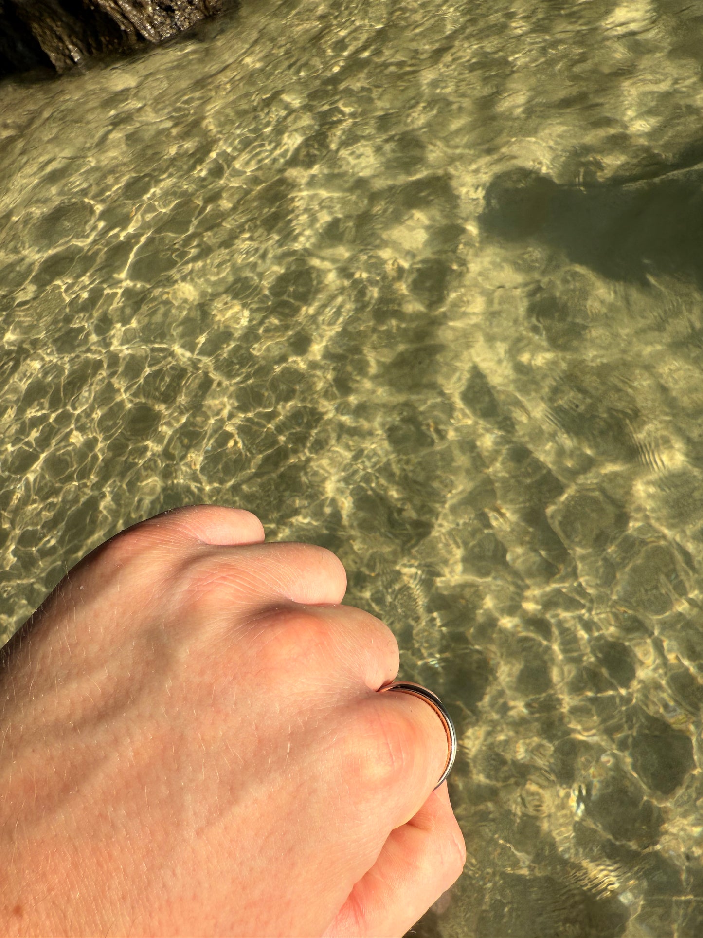 Brushed Rose Ring (Silver) 6mm