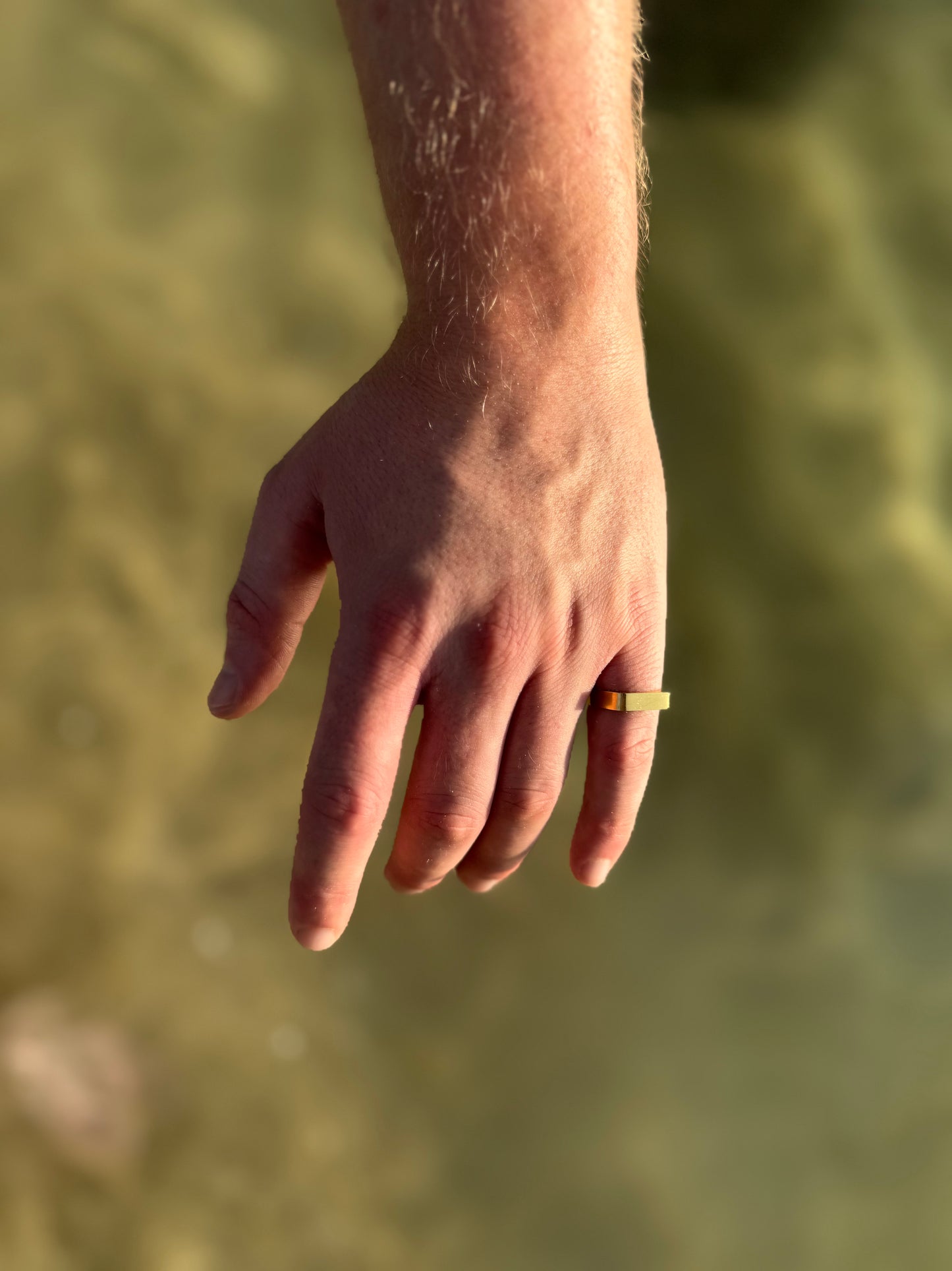 Defined Signet (Gold) 5mm